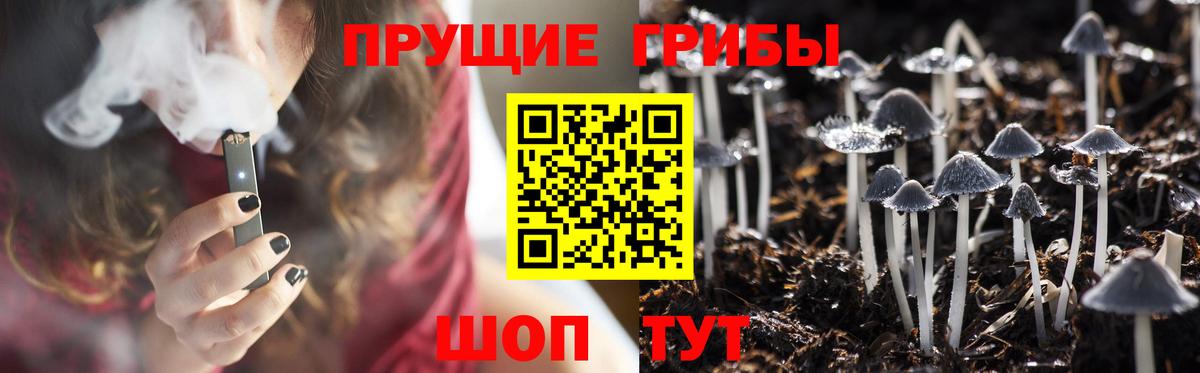 Галлюциногенные грибы ЛСД  Вход с VPN  Галлюциногенные грибы ЛСД  Урюпинск 